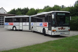 Ausflugs- und Linienbus